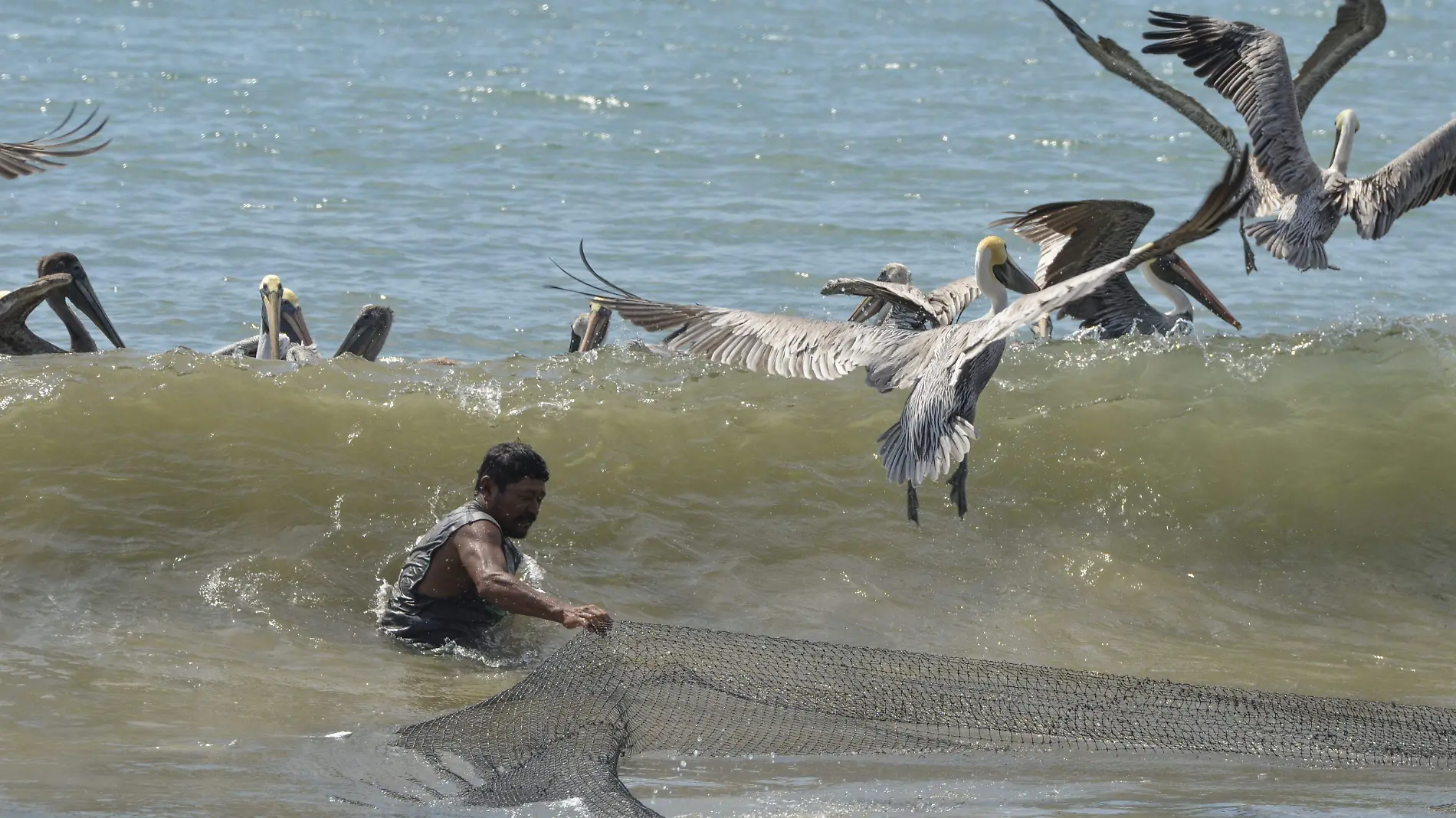 578190_Acapulco Mala Pesca-7_impreso